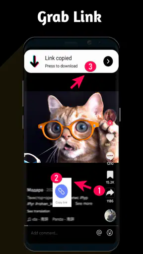 Video Downloader TSaver screenshot 1