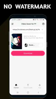 Video Downloader TSaver screenshot 2