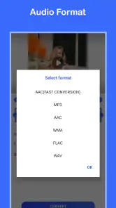 Video to MP3 Convert screenshot
