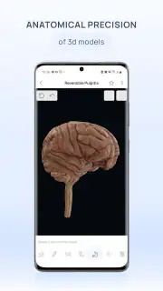 VOKA 3D Anatomy and Physiology screenshot 2