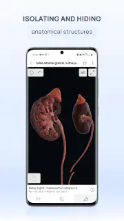 VOKA 3D Anatomy and Physiology screenshot 4