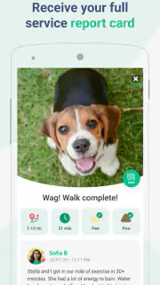 Wag! - Dog Walkers & Sitters screenshot 5