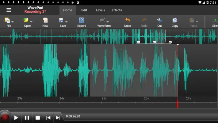 WavePad Audio Editor screenshot 1