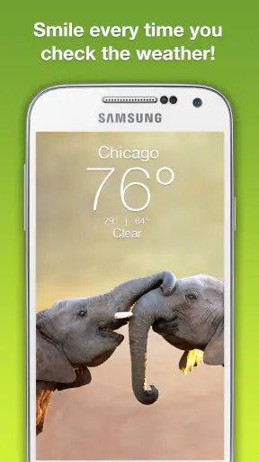 Wildlife Weather screenshot 1