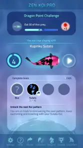 Zen Koi Pro screenshot