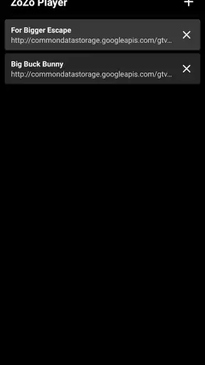 ZoZo Player - URL Video Player screenshot 1