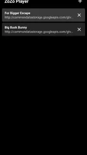 ZoZo Player - URL Video Player screenshot 4