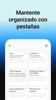 Wikipedia screenshot 2