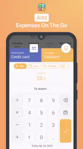 1Money: gastos, presupuesto screenshot