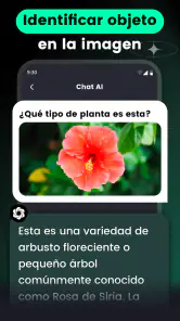 AI Chat・Asistente de chatbot screenshot