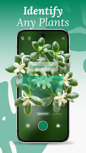 AI Plant Identifier & Care screenshot 1
