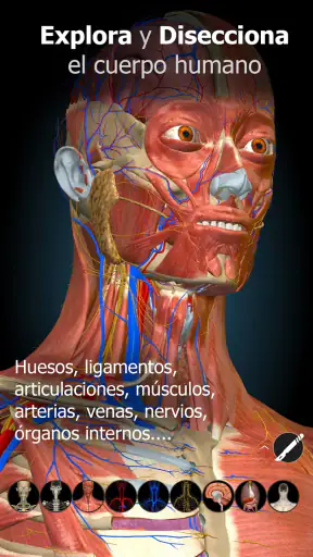 Anatomy Learning - Anatomía 3D screenshot 1