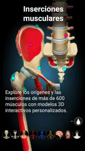 Anatomy Learning - Anatomía 3D screenshot
