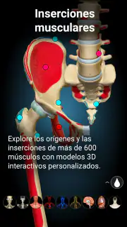 Anatomy Learning - Anatomía 3D screenshot 4