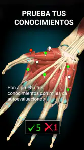 Anatomy Learning - Anatomía 3D screenshot