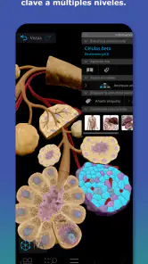 Atlas de anatomía humana 2026 screenshot