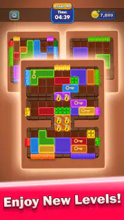 Block Master: Match Puzzle screenshot 3