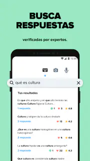 Brainly – Ayuda para estudiar screenshot 4