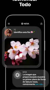 Chatbot IA Español - Nova screenshot