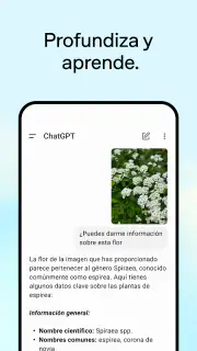 ChatGPT screenshot 4