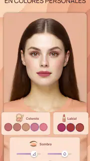 Colorimetría - Dressika screenshot 3