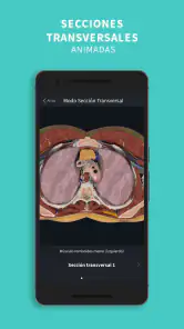 Complete Anatomy screenshot