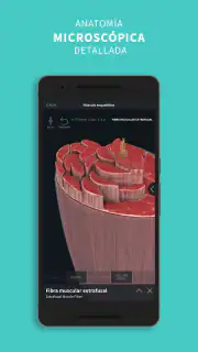 Complete Anatomy screenshot 8