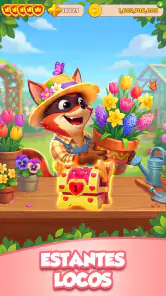 Crazy Fox - Big Win screenshot