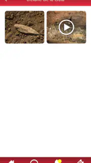 Cueva de Nerja screenshot 4