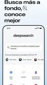 Deepsearch AI Search Assistant screenshot