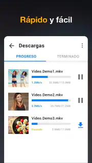 Descargador de vídeos en HD screenshot 2
