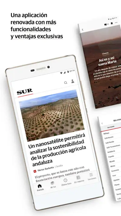 Diario Sur screenshot 1