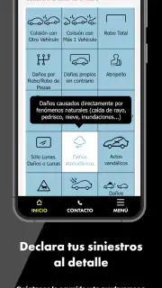 Direct Seguros screenshot 6