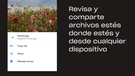 Dropbox: Almacenamiento Seguro screenshot 2