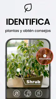 Escáner a PDF - TapScanner screenshot 4