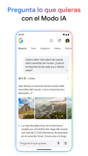 Google screenshot 2