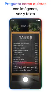 Google screenshot