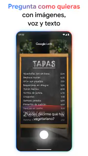 Google screenshot 3