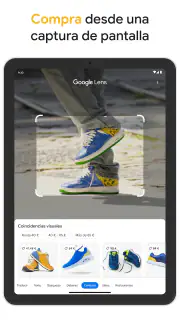 Google screenshot 7