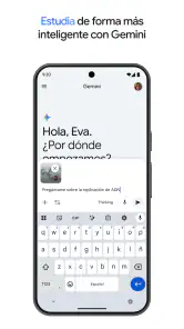Google Gemini screenshot
