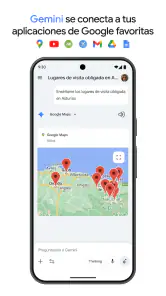 Google Gemini screenshot