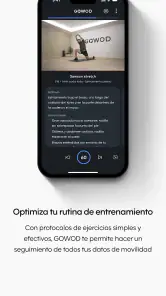 GOWOD – Programas de Movilidad screenshot