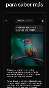 Grok - Asistente de IA screenshot