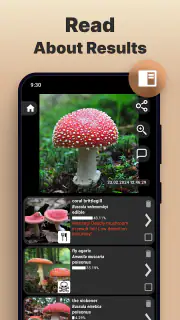 Identificador de Hongos screenshot 3