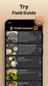 Identificador de Hongos screenshot