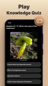 Identificador de Hongos screenshot