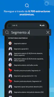 IMAIOS e-Anatomy screenshot 3