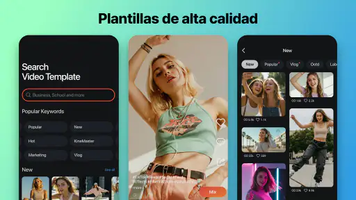 KineMaster - Editor de Videos screenshot