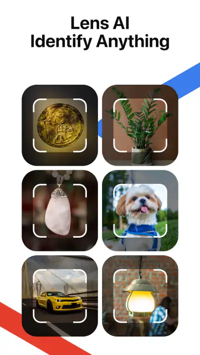 Lens AI: Identify Anything screenshot 1