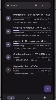 LibreTorrent screenshot 2